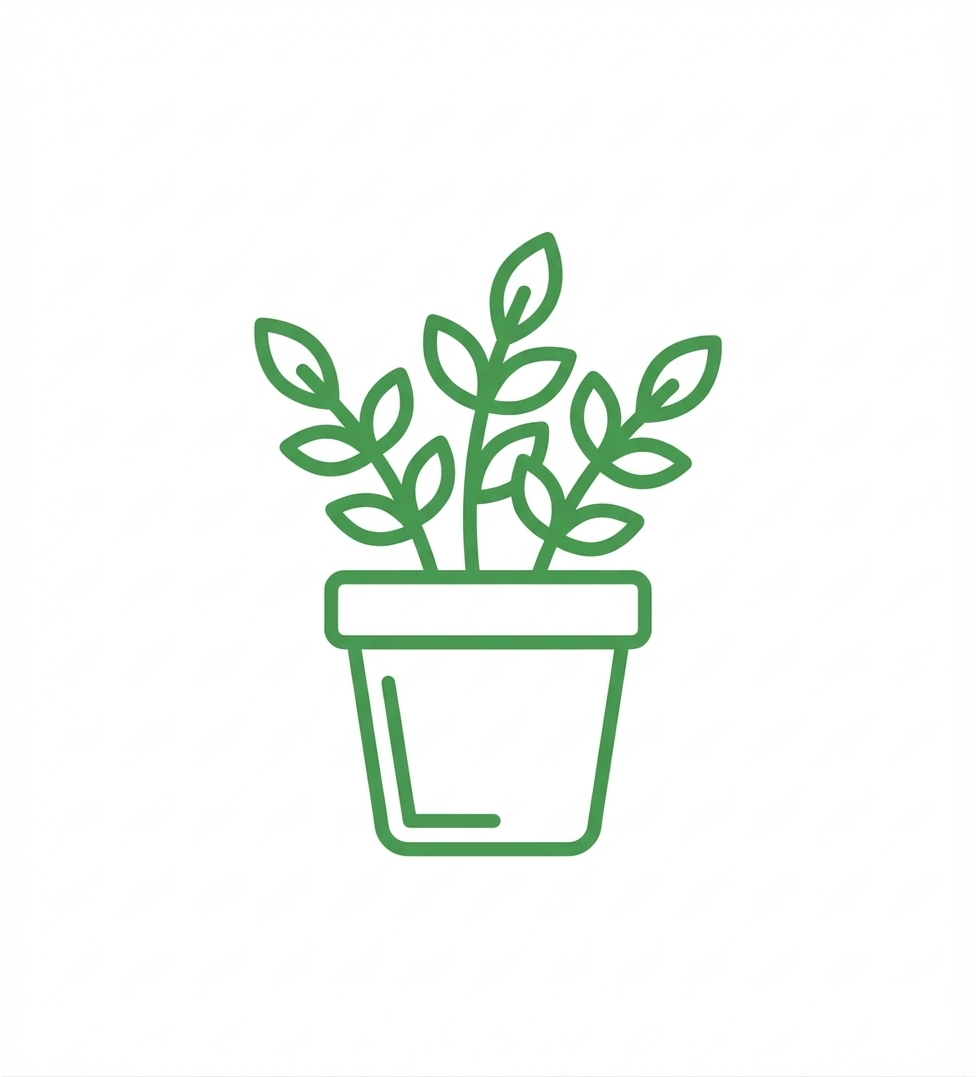 観葉植物・プランター